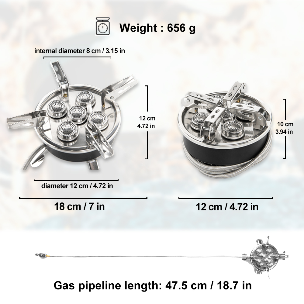 Widesea Camping 5in1 Gas Stove - Camping Cooking No Gas 评论和价格
